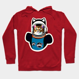 Beyond the Paws of Gravity Hoodie